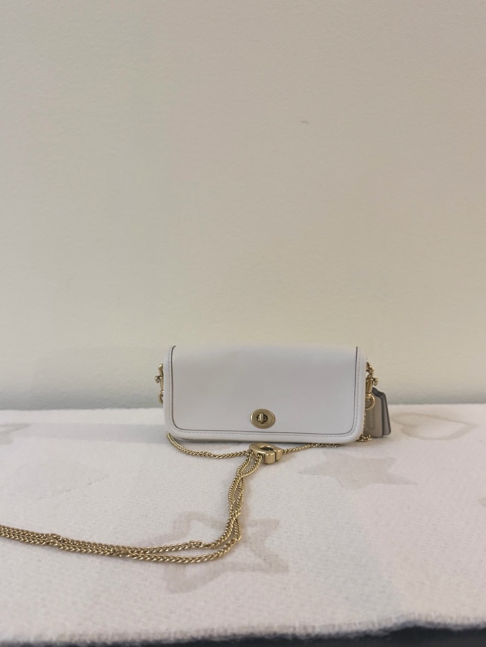 NWOT Coach Glovetanned Leather Mini Dinky Bag Chain Crossbody NWT CZ108 in Chalk